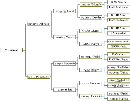 MR ASmar Pedigree